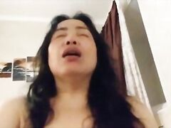 PLUMP Thai Mild rides British Bull